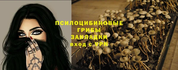 стаф Беломорск