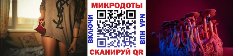 Галлюциногенные грибы Psilocybe  Болохово 